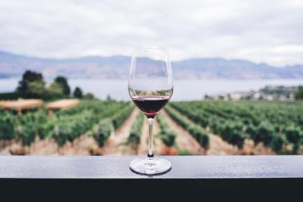 Photographie d'un verre de vin face à une vigne 