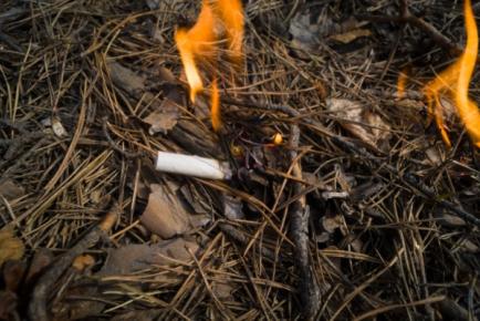 Illustration de l'article Prévention des incendies de forêts : la responsabilité élargie des producteurs (REP) du tabac est mise au travail !