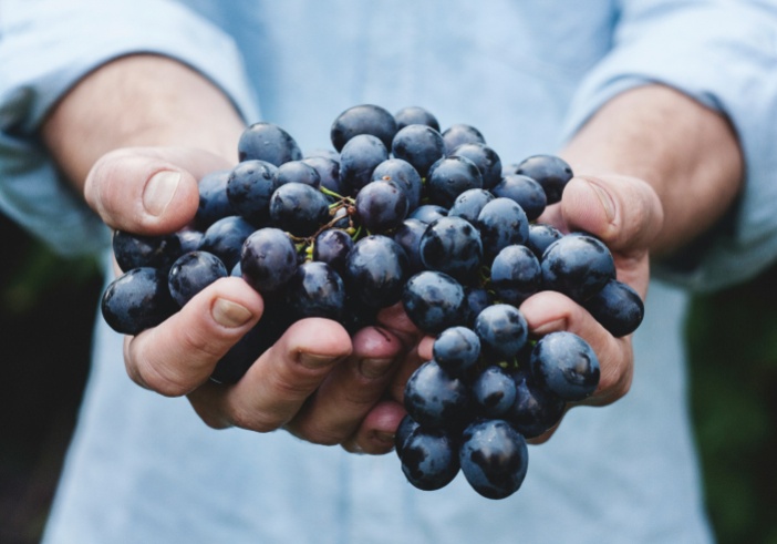 Illustration article : Viticulteurs, agriculteurs : les outils fiscaux à connaître pour 2025<br />
