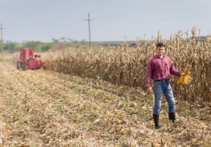 Illustration de l'article : Installation d’un agriculteur : l’âge (ne) fait (pas) tout ?