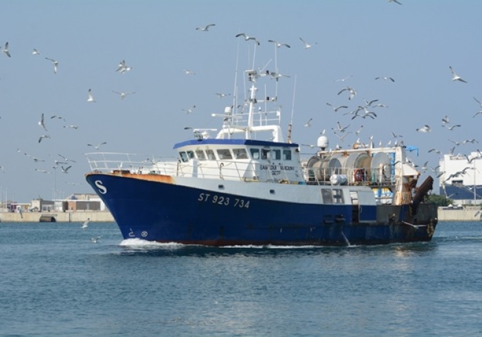 Illustration de l'article : Entreprises de pêche : nouvelle période d’aide