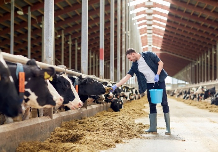 Illustration de l'article : Éleveurs : une indemnisation en cas d’abattage d’animaux sur ordre de l’administration