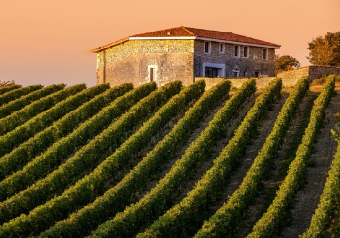 Illustration de l'article : Louer un domaine viticole : avec ou sans CVAE ?