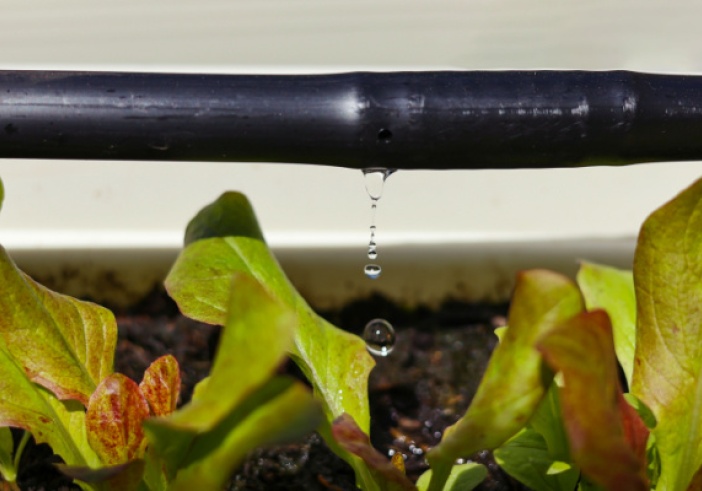 Illustration de l'article : France 2023 : financer l’agriculture de demain