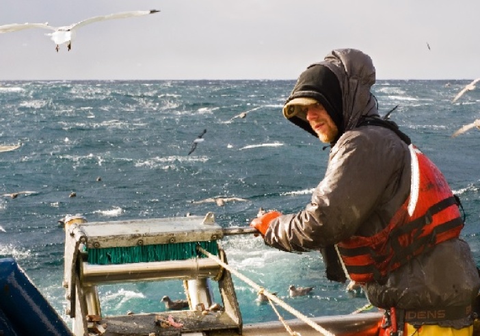 Illustration de l'article : Vente de poissons destinés à la pêche : quel taux de TVA appliquer ?