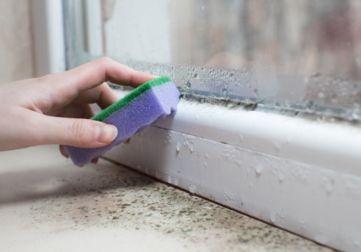 Illustration de l'article : Le Gouvernement harmonise les règles d’hygiène et de salubrité