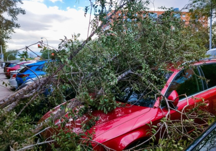 Illustration de l'article : Tempête Ciaran : l’État vole au secours des entrepreneurs