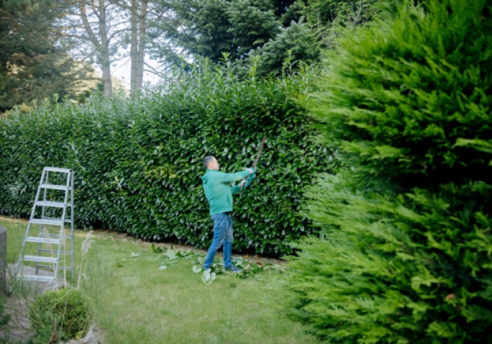 Illustration de l'article : Pièces détachées et pièces de rechange : du neuf... et du moins neuf !