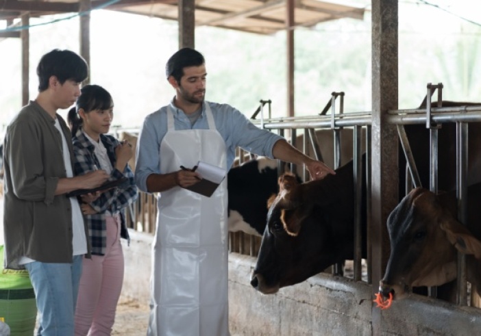 Illustration de l'article : Travailleurs agricoles : une nouvelle aide à la promotion collective agricole