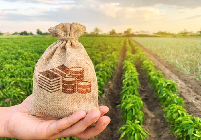 Illustration de l'article : Dirigeants agricoles : une nouvelle déclaration de revenus ?