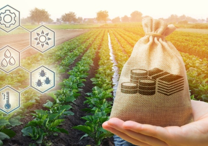 Illustration de l'article : Agriculture à Saint-Pierre-et-Miquelon : une aide à l’installation possible