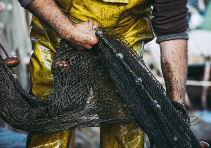 Illustration de l'article : Pêcheurs : une réglementation qui se renforce…