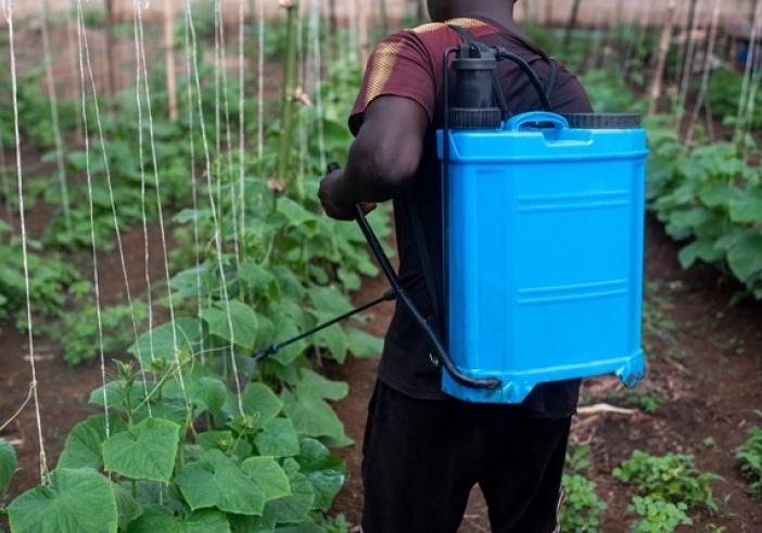 Illustration de l'article : Produits phytopharmaceutiques : attention aux conflits d’intérêts !
