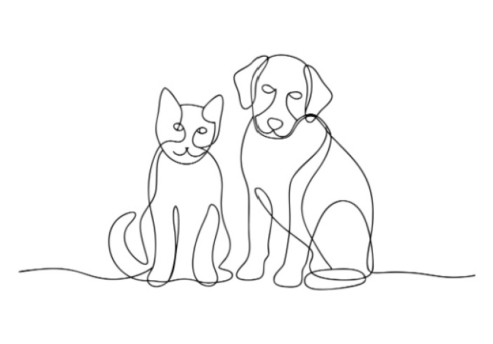 Illustration de l'article : Activités liées aux animaux de compagnie : une réglementation partiellement décalée…