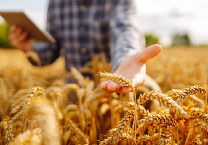Illustration de l'article : Cotisations agricoles : du nouveau pour le calcul en 2027