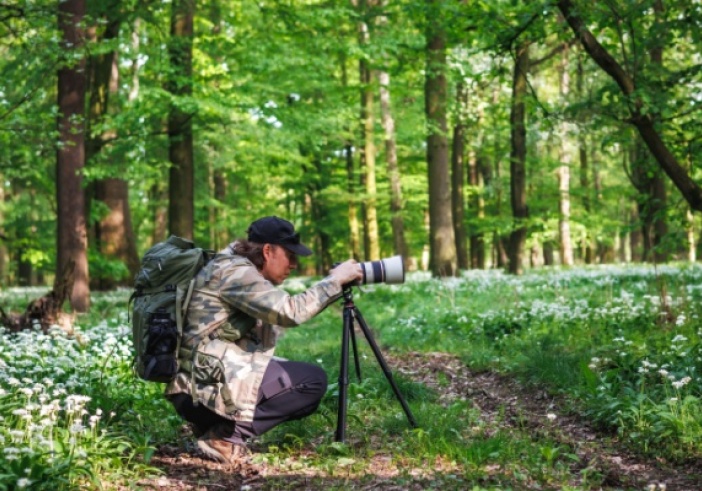 Illustration de l'article : Photographe professionnel : attention au taux de TVA applicable !