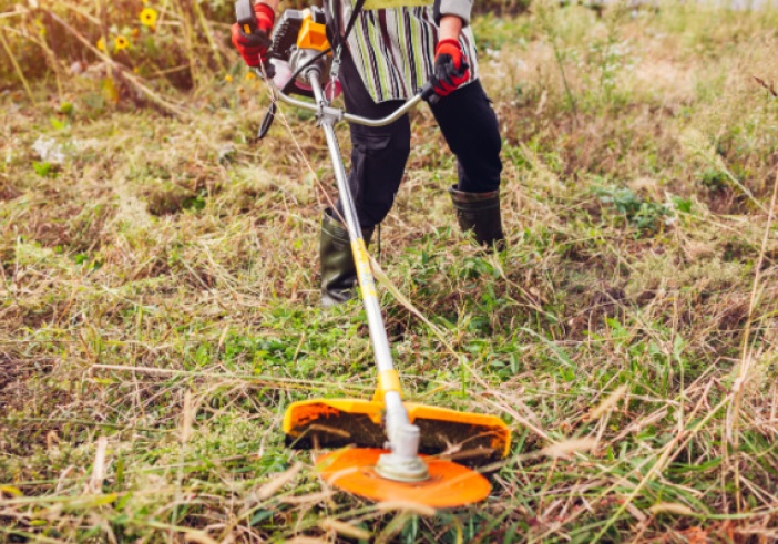 Illustration de l'article : Débroussaillage chez le voisin : une autorisation valable 3 ans !
