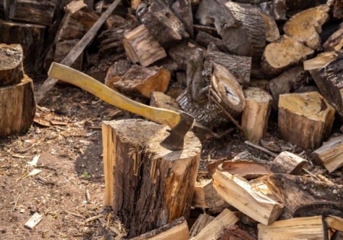 Illustration article : Régime fiscal des exploitations forestières : ça se précise pour le « forfait forestier » !