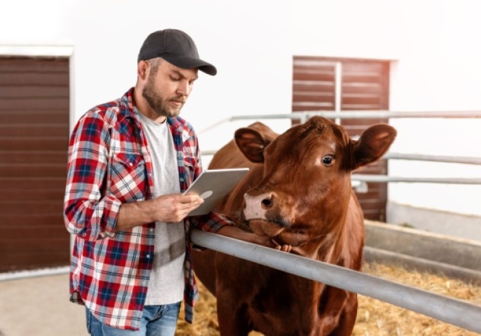 Illustration de l'article : Agriculture : point sur la situation