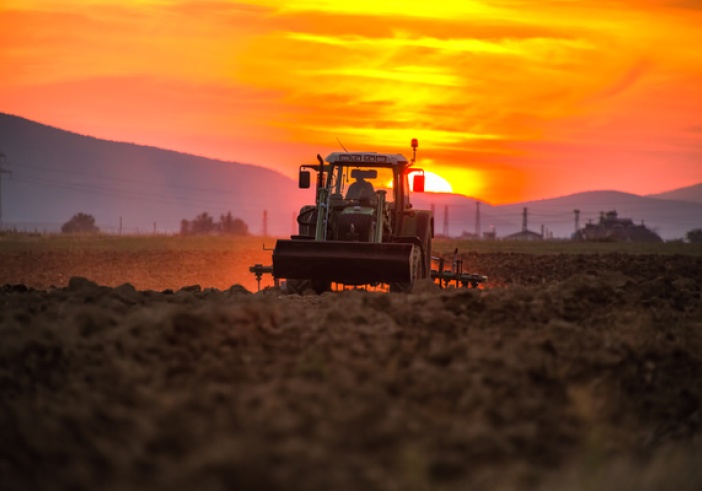 Illustration de l'article : Politique agricole commune (PAC) : des précisions pour l’outre-mer