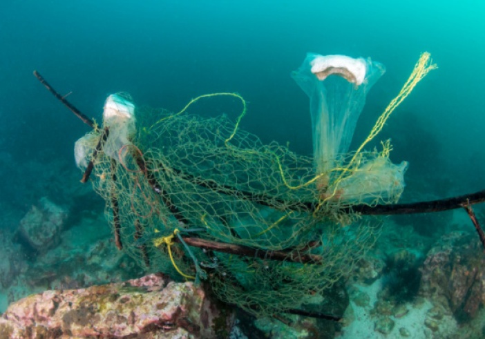 Illustration de l'article : Pêche durable : création d’une plateforme web pour mieux informer les pêcheurs