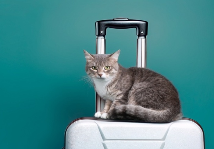 Illustration de l'article : Passeport des animaux de compagnie : une réglementation spécifique ?