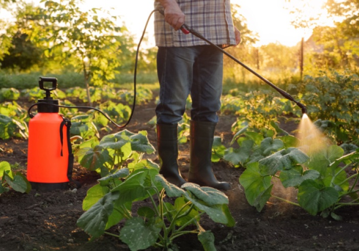 Illustration de l'article : Pesticides : rappels utiles sur la réglementation