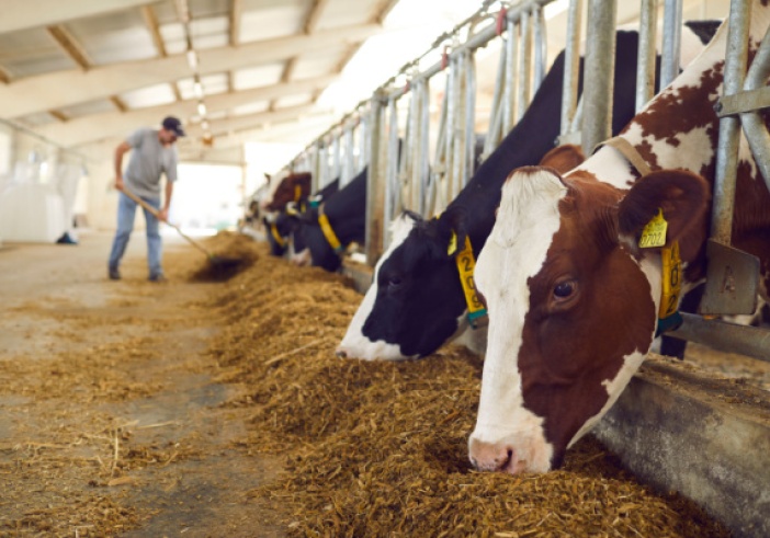 Illustration de l'article : Aides de la PAC : contrôles de l’exploitation et représentation du gérant