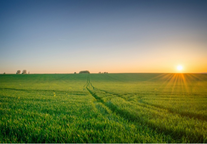Illustration de l'article : Zones agricoles : sont-elles réservées aux activités agricoles ?