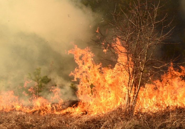 Illustration de l'article : Prévention et lutte contre les incendies : renforcement de la réglementation