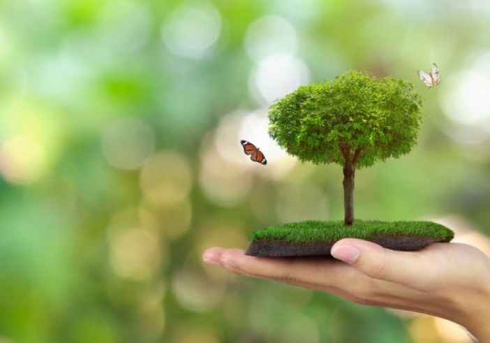 Illustration de l'article : RSE : des nouveautés à venir !