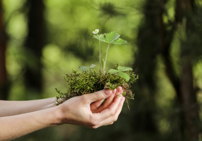 Illustration de l'article : Environnement : une mise au vert nécessaire !
