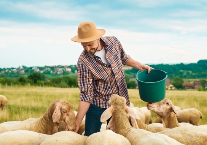 Illustration de l'article : Agriculture : aides financières pour les éleveurs