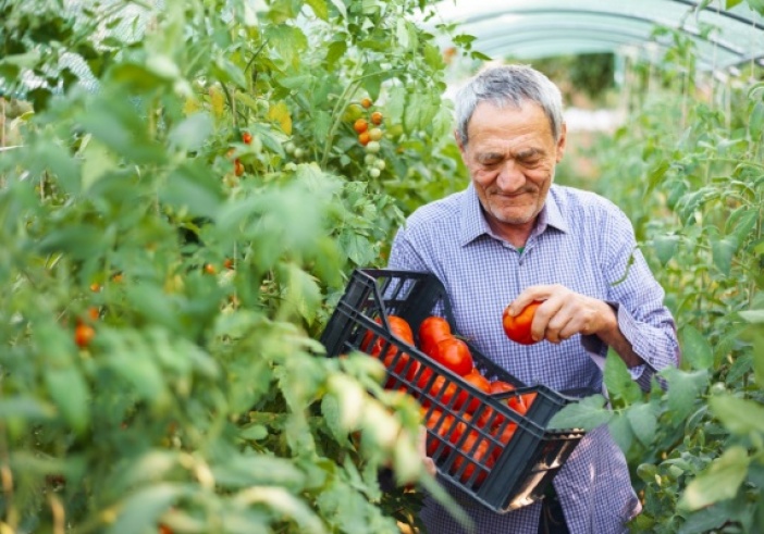 Illustration article : Retraite des non-salariés agricole : alignement sur le régime général
