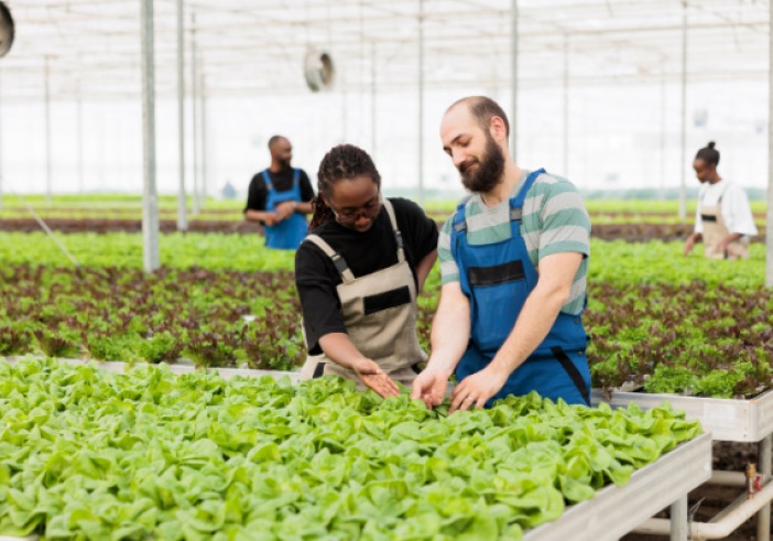 Illustration de l'article : Loi Egalim 3 : de nouvelles évolutions en faveur des agriculteurs