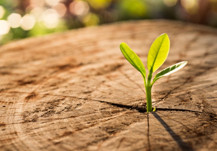 Illustration de l'article : Agrément des associations de protection de l’environnement : qui ne dit mot consent !