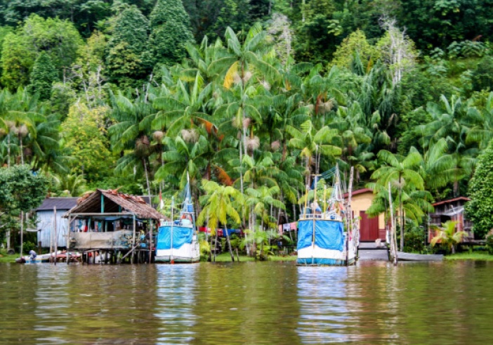 Illustration de l'article : Guyane : un accord pour relancer la filière pêche
