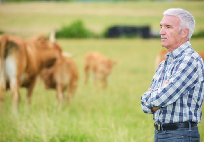 Illustration article : Report de l’âge légal de la retraite : un impact sur les baux ruraux ?