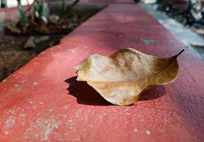 Illustration de l'article : Taxe annuelle sur les logements vacants : dans quelles communes ?