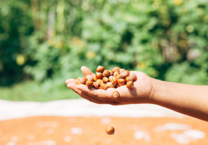 Illustration de l'article : Aide financière pour les agriculteurs biologiques : un délai supplémentaire !