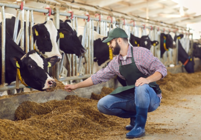 Illustration de l'article : Agriculture : un plan pour l’élevage français