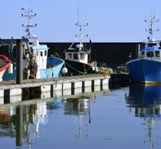 Illustration article : Un portail dédié à la formation des métiers maritimes !