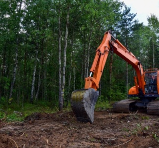 Illustration article : Travaux de défrichement : ne pas aller plus vite que la musique…