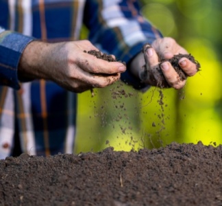 Illustration article : Produits fertilisants : une définition commune des usages