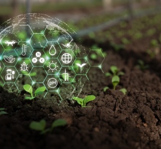 Illustration article : Agriculture : qui pilote la stratégie nationale d’installation et de transmission ?
