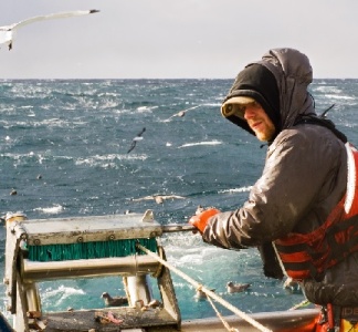 Illustration article : Vente de poissons destinés à la pêche : quel taux de TVA appliquer ?