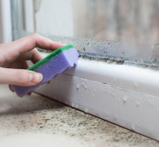 Illustration article : Vente immobilière : vers la création d’un diagnostic humidité ?