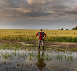 Illustration article : Calamités agricoles 2023 : à épisodes exceptionnels, indemnisation exceptionnelle