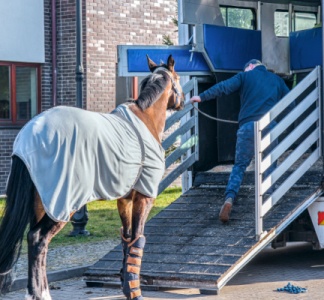 Illustration article : Transport de chevaux par un agriculteur = chronotachygraphe ?
