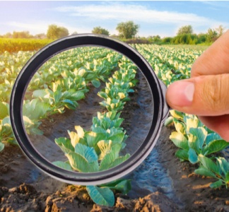 Illustration article : Plan de soutien aux industries agroalimentaires : que contient-il ?